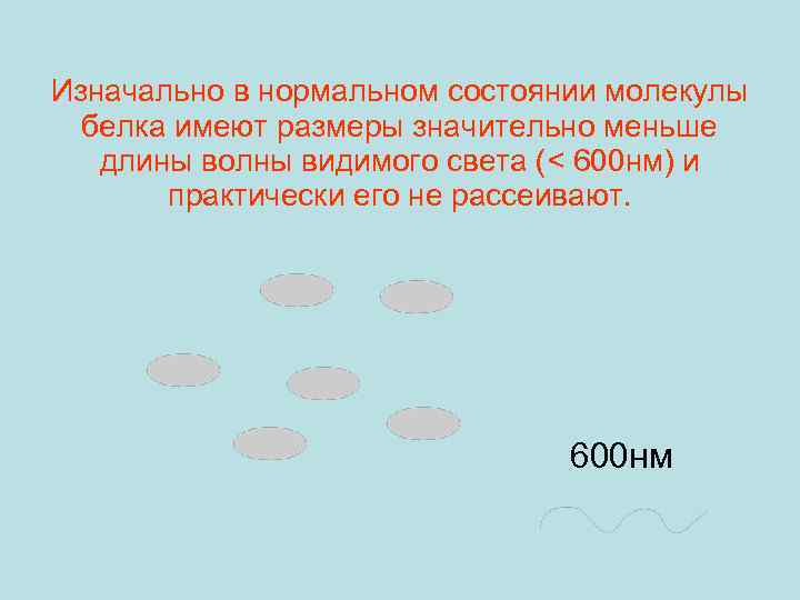 Изначально в нормальном состоянии молекулы белка имеют размеры значительно меньше длины волны видимого света