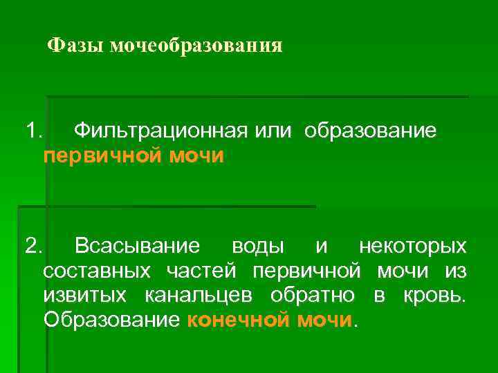 Фазы мочеобразования 1. Фильтрационная или образование первичной мочи 2. Всасывание воды и некоторых составных