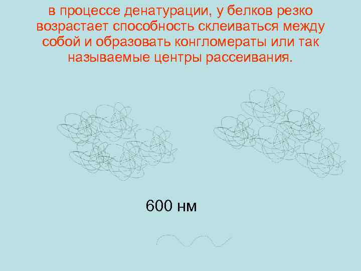 в процессе денатурации, у белков резко возрастает способность склеиваться между собой и образовать конгломераты