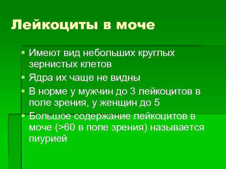 Лейкоциты в моче Имеют вид небольших круглых зернистых клетов Ядра их чаще не видны