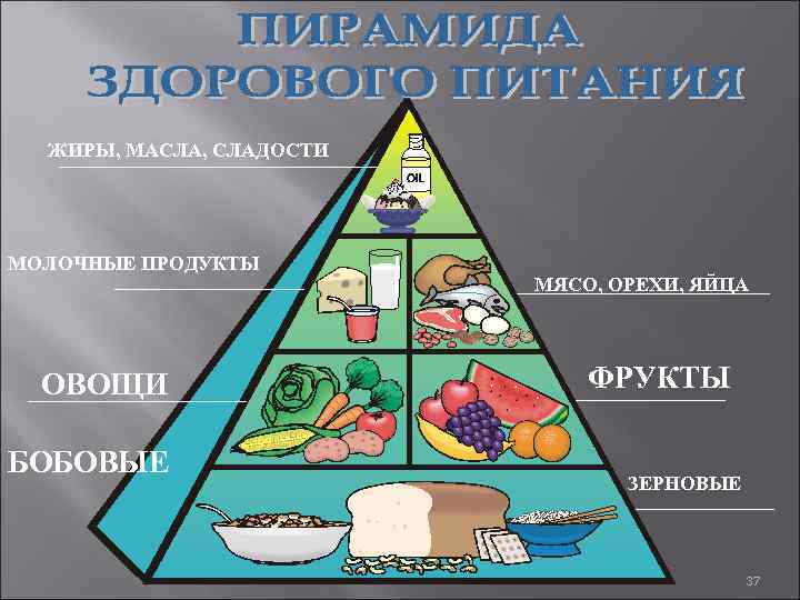 ЖИРЫ, МАСЛА, СЛАДОСТИ МОЛОЧНЫЕ ПРОДУКТЫ ОВОЩИ БОБОВЫЕ МЯСО, ОРЕХИ, ЯЙЦА ФРУКТЫ ЗЕРНОВЫЕ 37 