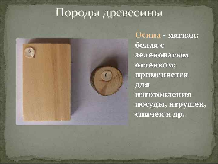 Породы древесины Осина - мягкая; белая с зеленоватым оттенком; применяется для изготовления посуды, игрушек,