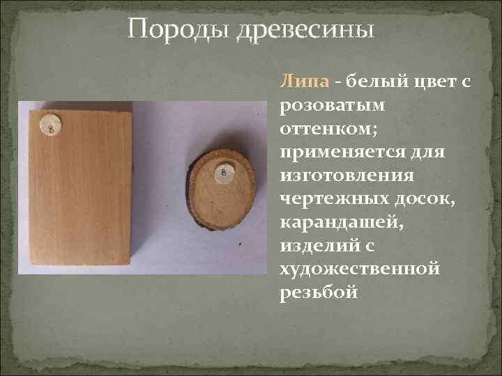 Породы древесины Липа - белый цвет с розоватым оттенком; применяется для изготовления чертежных досок,