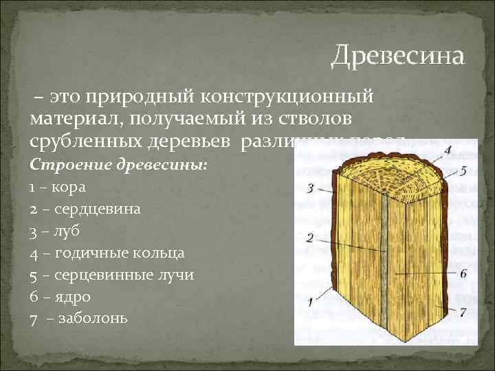 Древесина – это природный конструкционный материал, получаемый из стволов срубленных деревьев различных пород. Строение