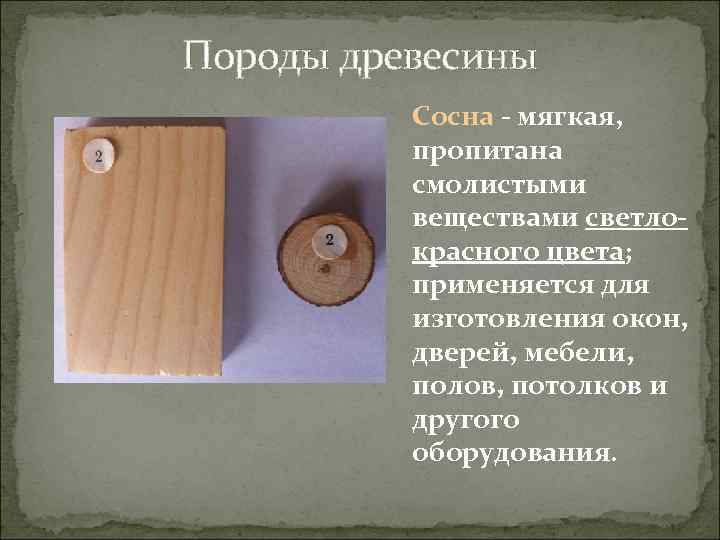 Породы древесины Сосна - мягкая, пропитана смолистыми веществами светлокрасного цвета; применяется для изготовления окон,