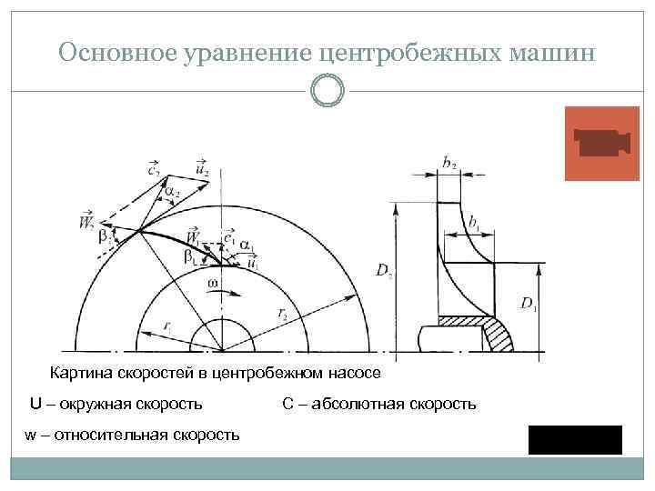 Основное уравнение центробежных машин Картина скоростей в центробежном насосе U – окружная скорость w