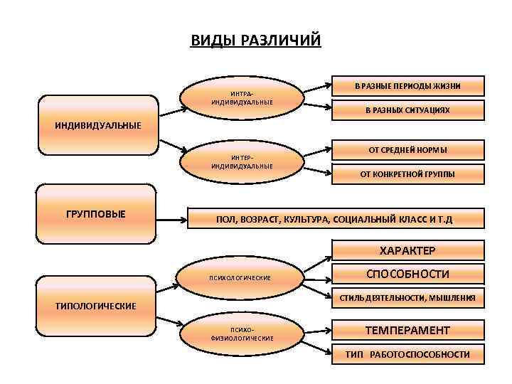 ВИДЫ РАЗЛИЧИЙ ИНТРАИНДИВИДУАЛЬНЫЕ В РАЗНЫЕ ПЕРИОДЫ ЖИЗНИ В РАЗНЫХ СИТУАЦИЯХ ИНДИВИДУАЛЬНЫЕ ИНТЕРИНДИВИДУАЛЬНЫЕ ГРУППОВЫЕ ОТ