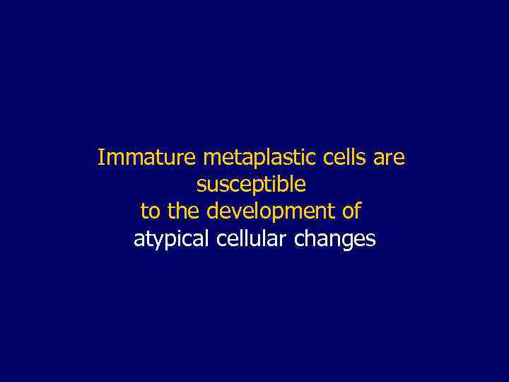 Immature metaplastic cells are susceptible to the development of atypical cellular changes 