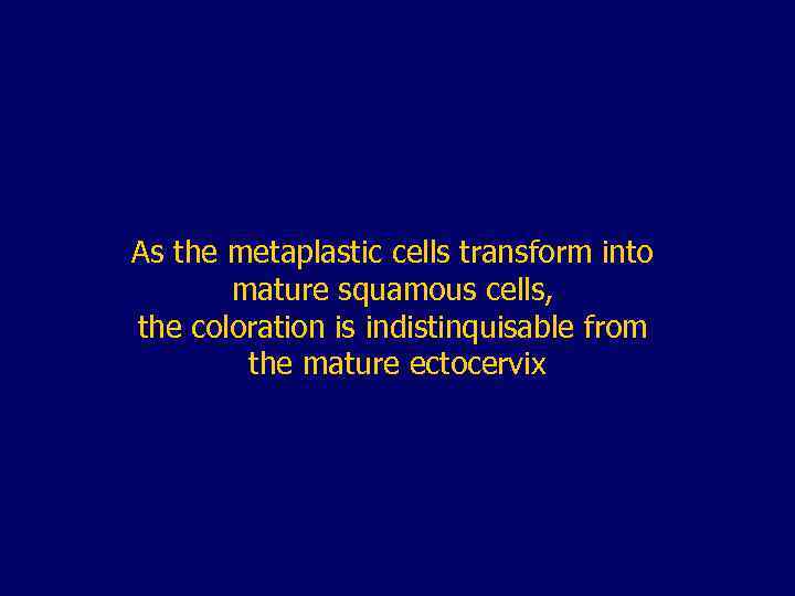 As the metaplastic cells transform into mature squamous cells, the coloration is indistinquisable from