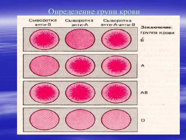 Определение групп крови 