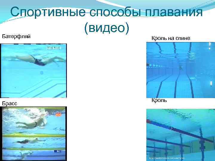 Спортивные способы плавания (видео) Батерфляй Кроль на спине Брасс Кроль 