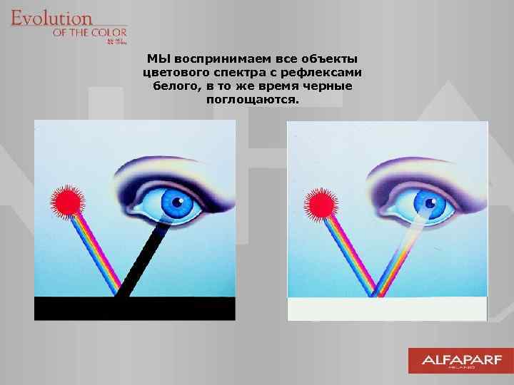 МЫ воспринимаем все объекты цветового спектра с рефлексами белого, в то же время черные