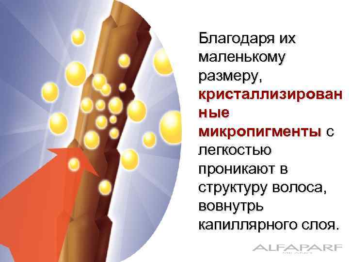 Благодаря их маленькому размеру, кристаллизирован ные микропигменты с легкостью проникают в структуру волоса, вовнутрь