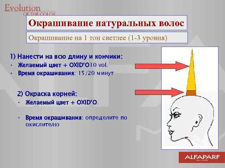 Окрашивание натуральных волос Окрашивание на 1 тон светлее (1 -3 уровня) 1) Нанести на