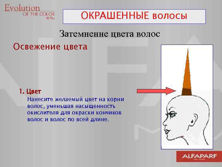 ОКРАШЕННЫЕ волосы Затемнение цвета волос Освежение цвета 1. Цвет Нанесите желаемый цвет на корни