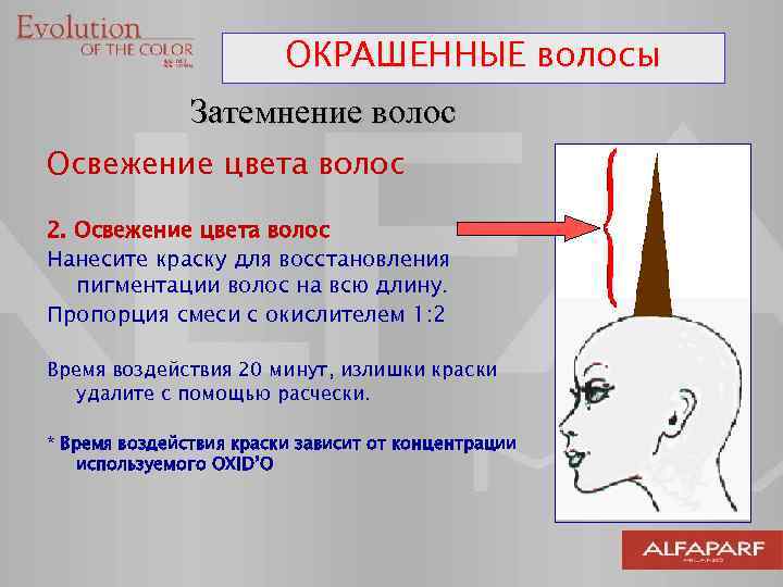 ОКРАШЕННЫЕ волосы Затемнение волос Освежение цвета волос 2. Освежение цвета волос Нанесите краску для