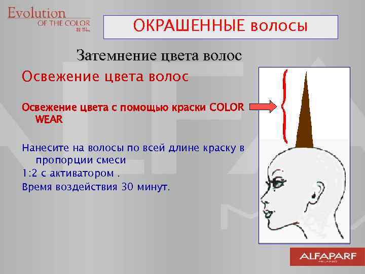 ОКРАШЕННЫЕ COLORED HAIR волосы Затемнение цвета волос Освежение цвета с помощью краски COLOR WEAR