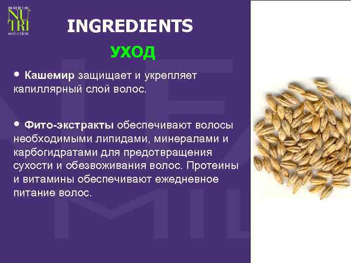 INGREDIENTS УХОД • Кашемир защищает и укрепляет капиллярный слой волос. • Фито-экстракты обеспечивают волосы