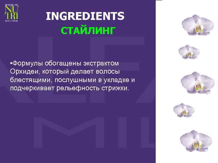 INGREDIENTS СТАЙЛИНГ • Формулы обогащены экстрактом Орхидеи, который делает волосы блестящими, послушными в укладке