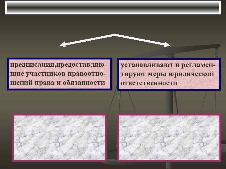 предписания, предоставляющие участников правоотношений права и обязанности устанавливают и регламентируют меры юридической ответственности 