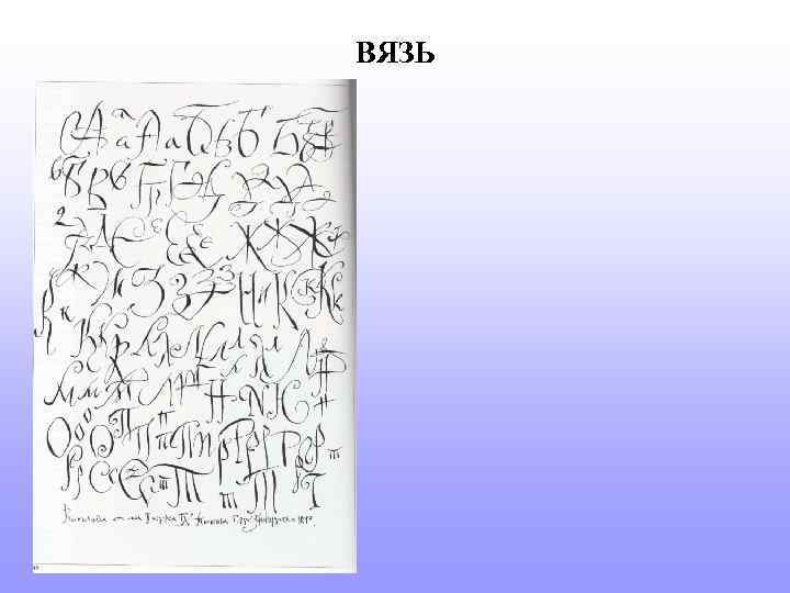 ВЯЗЬ 