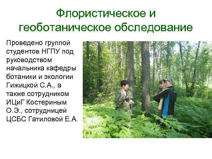 Флористическое и геоботаническое обследование Проведено группой студентов НГПУ под руководством начальника кафедры ботаники и