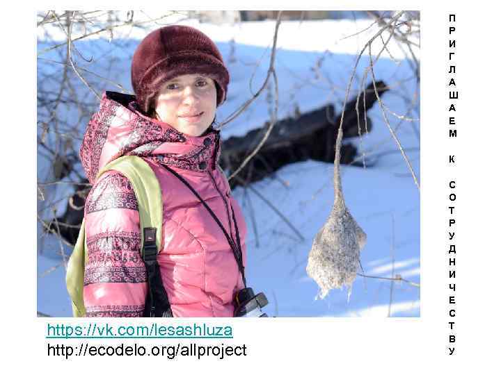 П Р И Г Л А Ш А Е М К https: //vk. com/lesashluza