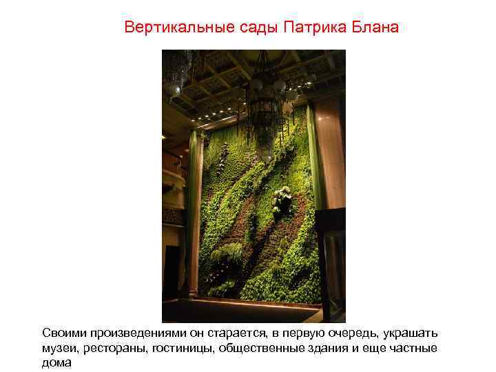 Вертикальные сады Патрика Блана Своими произведениями он старается, в первую очередь, украшать музеи, рестораны,