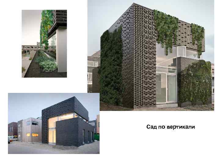 Сад по вертикали 