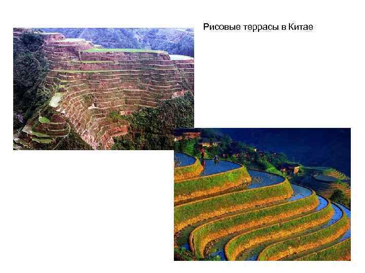 Рисовые террасы в Китае 