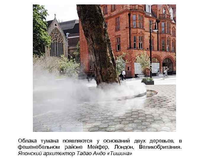 Облака тумана появляются у оснований двух деревьев, в фешенебельном районе Мейфер, Лондон, Великобритания. Японский