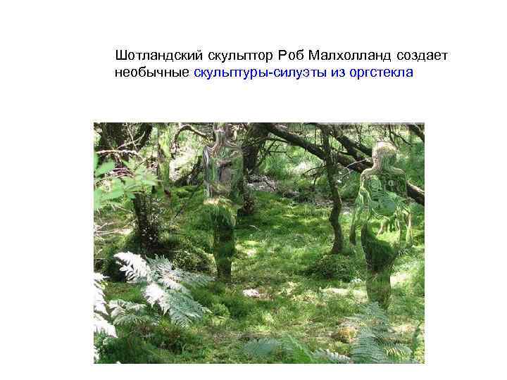 Шотландский скульптор Роб Малхолланд создает необычные скульптуры силуэты из оргстекла 