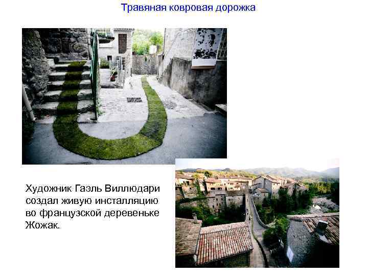 Травяная ковровая дорожка Художник Гаэль Виллюдари создал живую инсталляцию во французской деревеньке Жожак. 