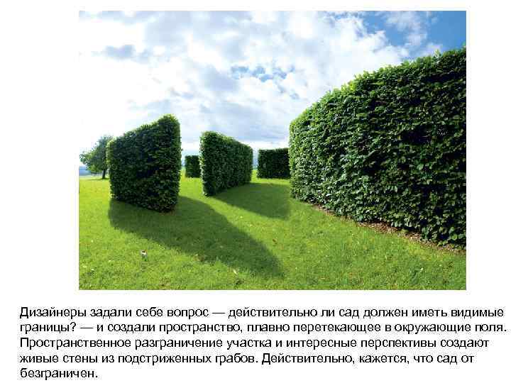 Дизайнеры задали себе вопрос — действительно ли сад должен иметь видимые границы? — и