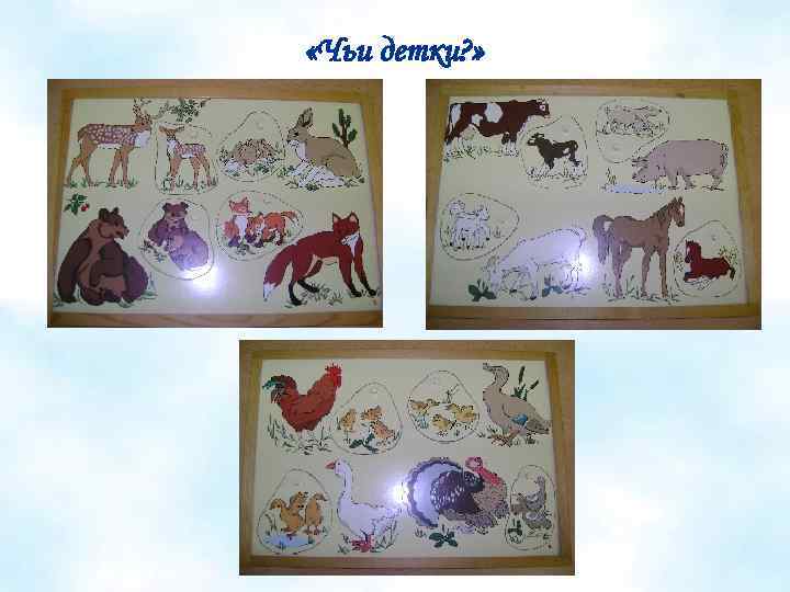  «Чьи детки? » 