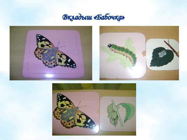 Вкладыш «Бабочка» 