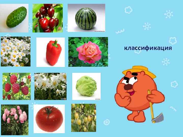 классификация 