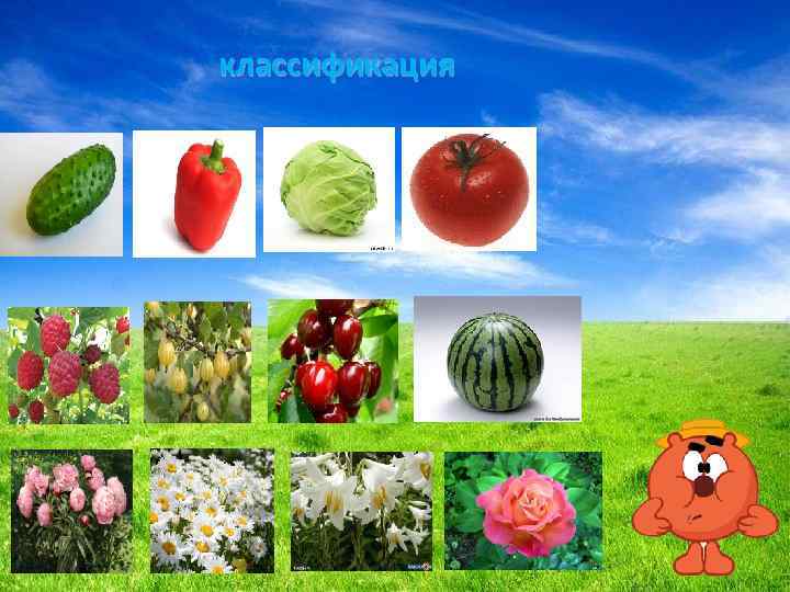 классификация 