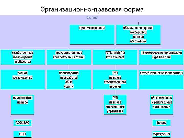 Организационно-правовая форма 