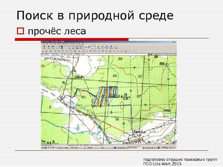 Поиск в природной среде o прочёс леса подготовка старших поисковых групп ПСО Liza Alert