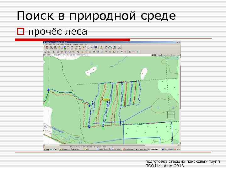 Поиск в природной среде o прочёс леса подготовка старших поисковых групп ПСО Liza Alert