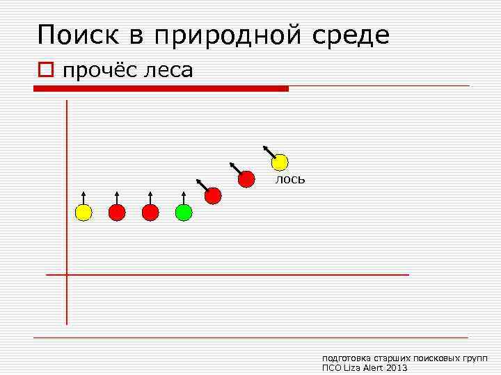 Поиск в природной среде o прочёс леса лось подготовка старших поисковых групп ПСО Liza