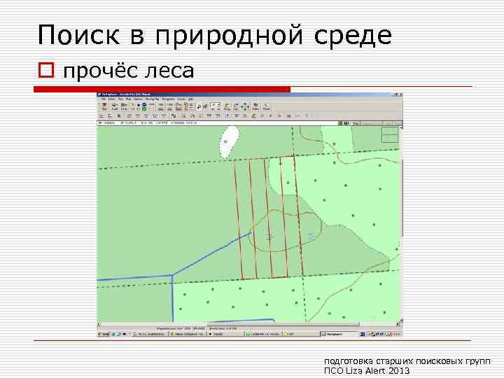 Поиск в природной среде o прочёс леса подготовка старших поисковых групп ПСО Liza Alert