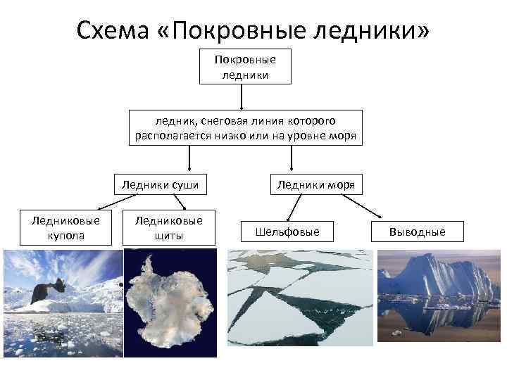 Где находятся покровные ледники