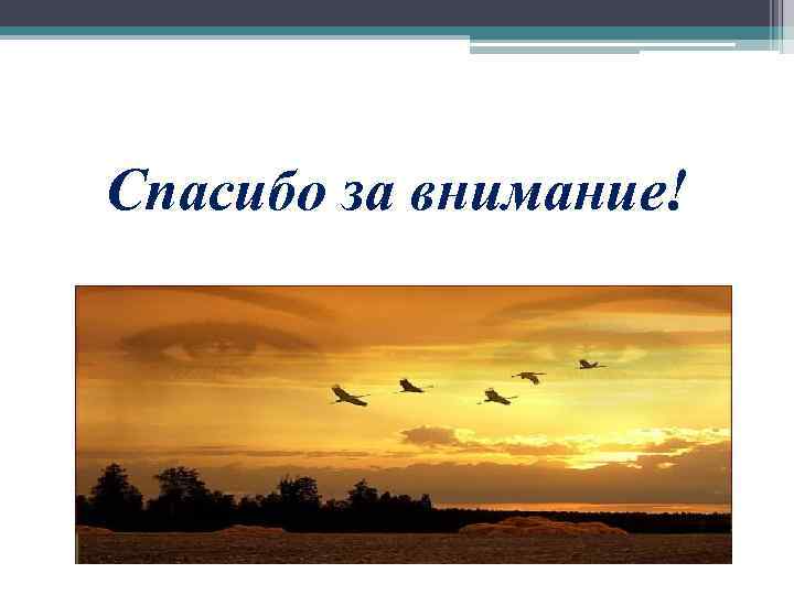 Спасибо за внимание! 