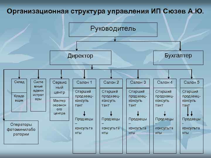 Организационная структура управления ИП Сюзев А. Ю. Руководитель Бухгалтер Директор Склад Кладо вщик Систе