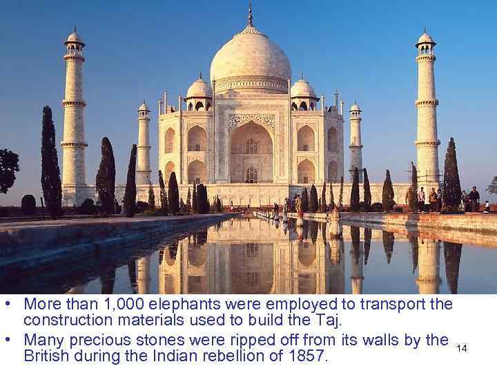  • More than 1, 000 elephants were employed to transport the construction materials