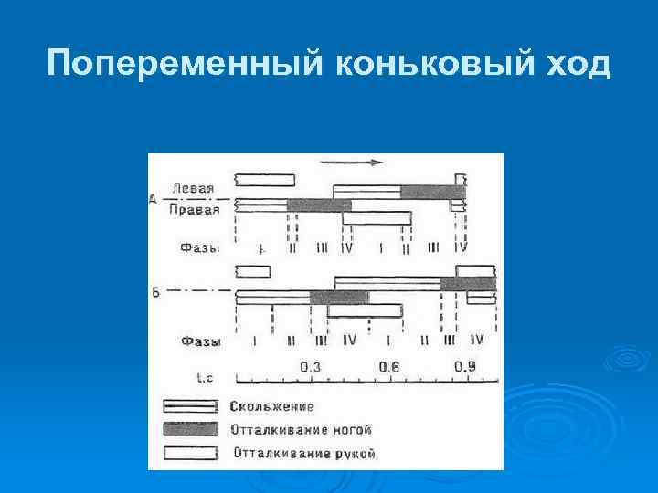 Попеременный коньковый ход 