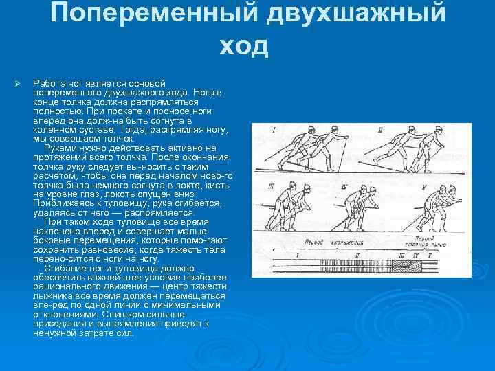 На какой картинке изображен попеременный двухшажный ход