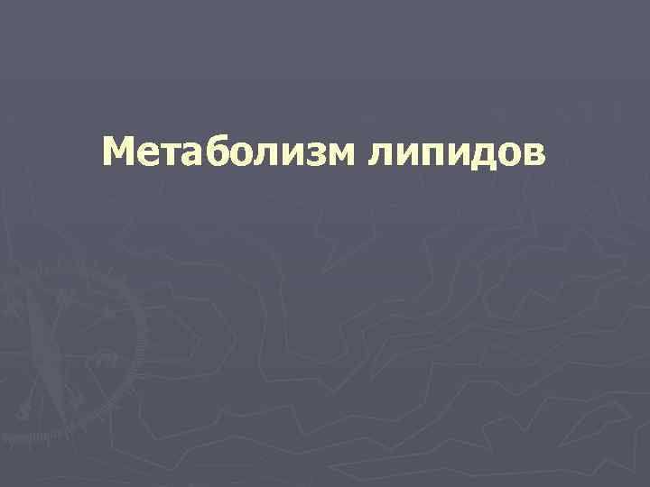Метаболизм липидов 